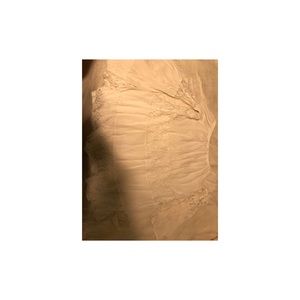 Off the shoulder white lacy dress